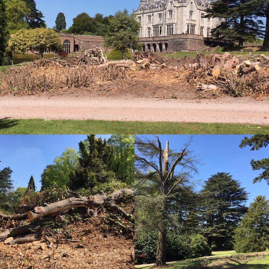 2493F357-B358-47D4-9EDD-330E4475F2CE