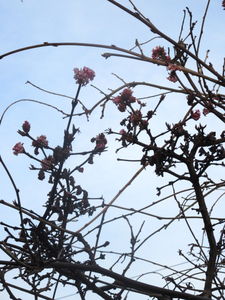 28243BB8-9691-4A71-B7DD-08CC7FF4CB50