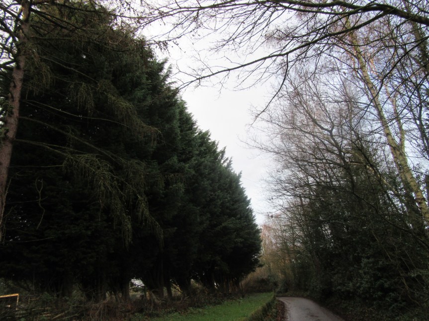 639A2F9F-0754-45CA-BC12-A2BED3D8071A