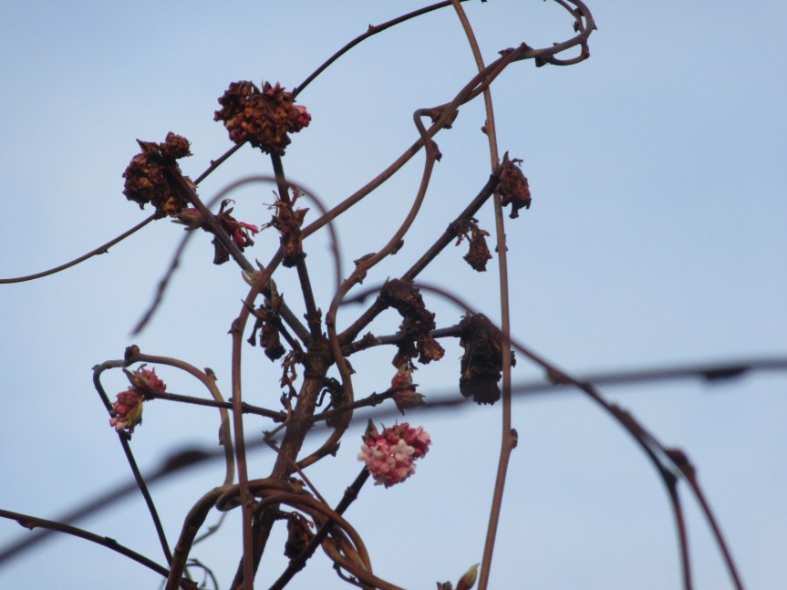 91C01BBD-B382-455C-9ECD-2E63F1D767E2