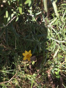 1069FBA1-3F3D-438F-B4F6-FBA06F8D5F13