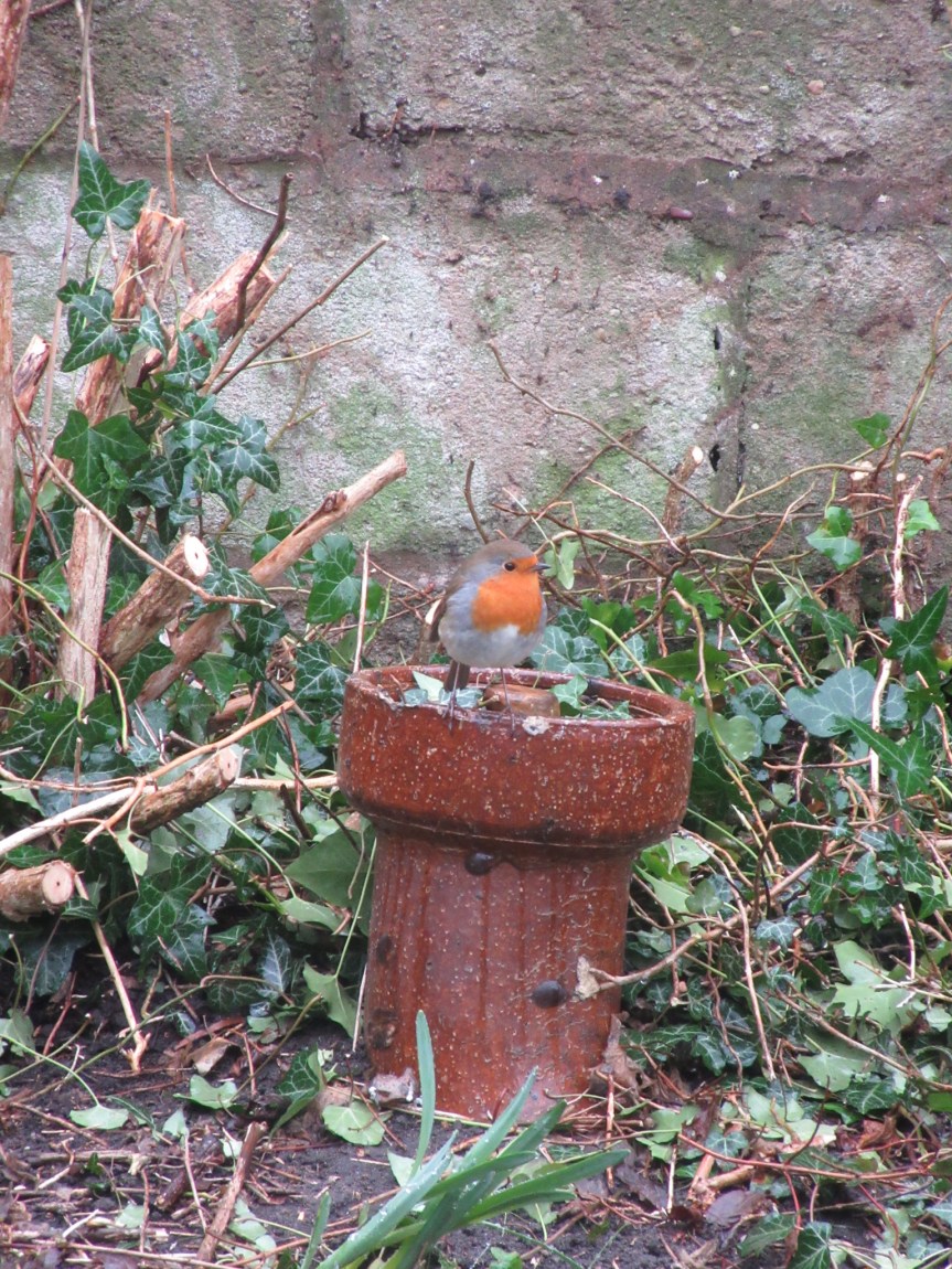 1DE9BC22-46FF-444D-80BF-6C6774A51E13