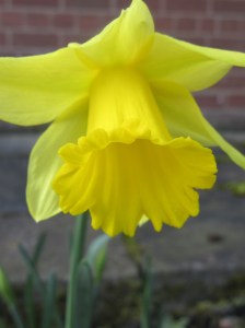 5C93CC37-7C33-49EC-9775-968D6FFE0A4E