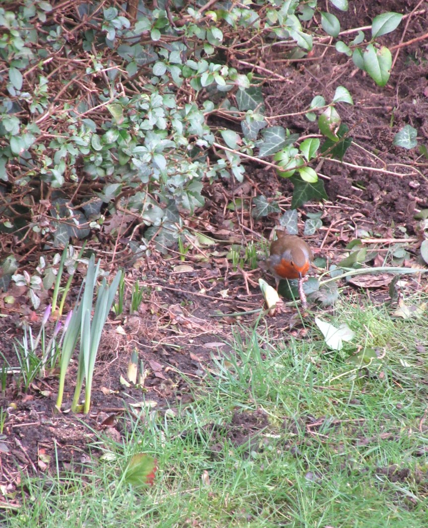 A9FB0AA3-D385-41D2-92CD-9B86E6D5B6CF