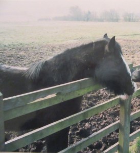 AAA6A332-123F-4C88-BCAA-4A651B461CB9