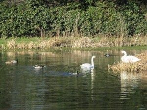 39DF2B78-A987-4713-BBEC-A8B5823CDBC5