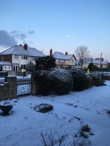 4A91CBDC-D755-49B3-8CF1-F433031E30F4