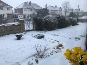 719CAC7A-861A-4A48-8CAE-9F7A86FDE4F0